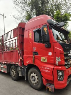 SAIC Hongyan Genlyon 460 hp 8X4 9.6 m - фото 7