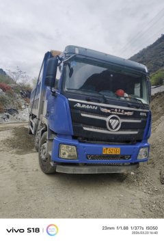 Foton Auman GTL 460 hp 8X4 7.4 m - фото 1