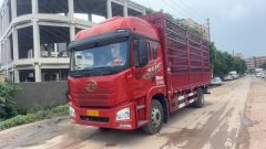 FAW Jiefang JH6 300 hp 4X2 6.75 m - фото 1