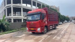 FAW Jiefang JH6 300 hp 4X2 6.75 m - фото 3