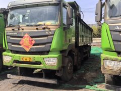 Foton Auman GTL 490 hp 8X4 7.6 m - фото 1