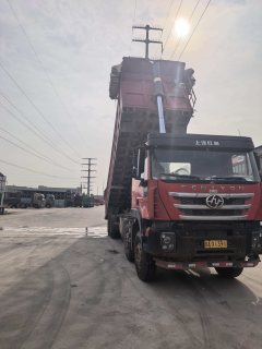 SAIC Hongyan Genlyon 450 hp 8X4 8.8 m - фото 3