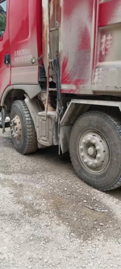 Dongfeng Liuzhou Chenglong H7 500 hp 8X4 8.6 m - фото 1