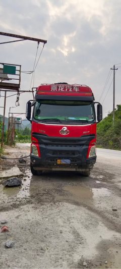 Dongfeng Liuzhou Chenglong H7 500 hp 8X4 8.6 m - фото 5
