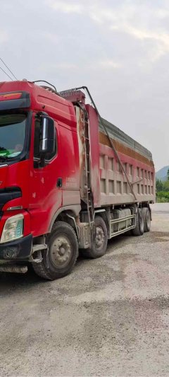 Dongfeng Liuzhou Chenglong H7 500 hp 8X4 8.6 m - фото 7