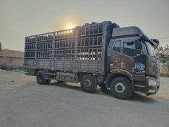 FAW Jiefang J6P 280 hp 6X2 7.7 m - фото 1