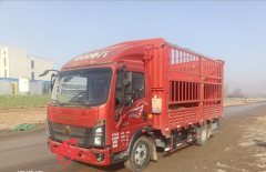 SINOTRUK HOWO Light Duty Truck Hanjiang 160 hp 4X2 4.2 m - фото 2