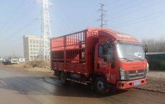 SINOTRUK HOWO Light Duty Truck Hanjiang 160 hp 4X2 4.2 m - фото 3