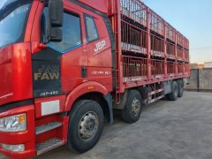FAW Jiefang J6P 460 hp 8X4 9.5 m - фото 3