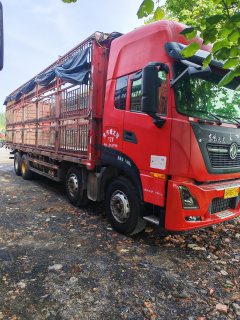 Dongfeng Tianlong KL 465 hp 8X4 9.6 m - фото 3