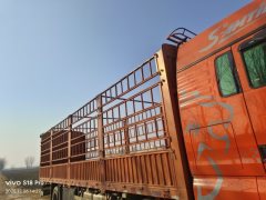 Sinotruk Sitrak G5S 330 hp 6X2 9.8 m - фото 2