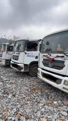 Zoomlion Dongfeng 8X8 - фото 1