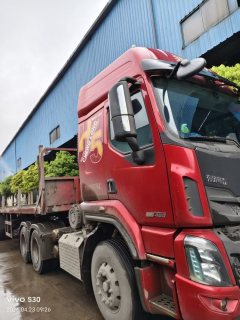 Dongfeng Liuzhou Chenglong H5 460 hp 6X4 - фото 5