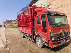 SINOTRUK HOWO Light Duty Truck Commander 160 hp 4X2 4.15 m - фото 4