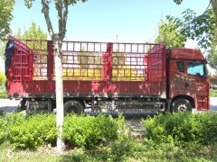 FAW Jiefang JH6 320 hp 4X2 6.75 m - фото 3