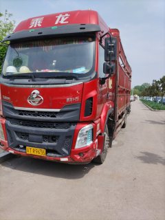 Dongfeng Liuzhou Chenglong H5 240 hp 4X2 6.8 m - фото 3