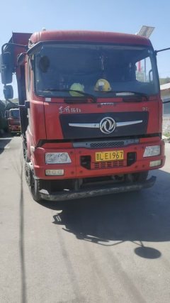 Dongfeng D3 300 hp 8X4 6.2 m - фото 1