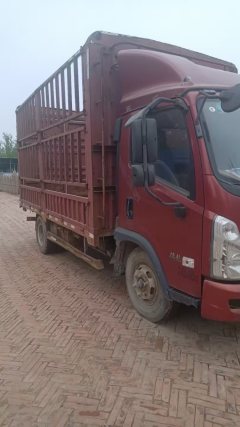 Foton Forland 6 143 hp 4X2 4.2 m - фото 2