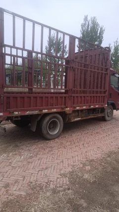Foton Forland 6 143 hp 4X2 4.2 m - фото 5