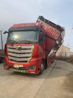 Foton Auman EST 430 hp 8X4 9.53 m - фото 2