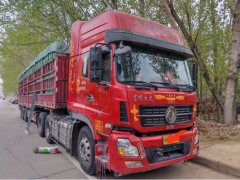 Dongfeng Tianlong 450 hp 6X4 - фото 3
