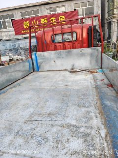 SINOTRUK HOWO Light Duty Truck Commander 190 hp 4X2 3.85 m - фото 3