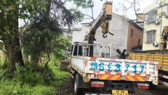 crane truck Dongfeng - фото 4