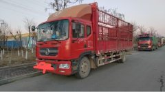 Dongfeng Duolika D9 170 hp 4X2 6.8 m - фото 3