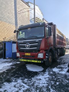 Foton Auman GTL 460 hp 8X4 8 m - фото 1