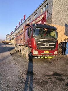 Foton Auman GTL 460 hp 8X4 8 m - фото 2