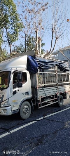 Foton Aumark S3 143 hp 4X2 4.18 m - фото 3
