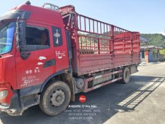 Dongfeng Tianjin KR 245 hp 4X2 6.8 m - фото 1