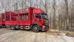 Foton R 210 hp 4X2 6.8 m - фото 1