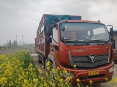 Foton Rowor ES5 220 hp 6X2 7.4 m - фото 2
