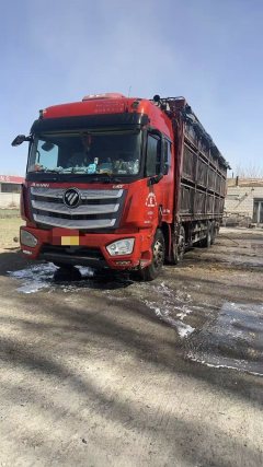 Foton Auman EST 510 hp 8X4 9.53 m - фото 1