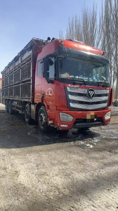 Foton Auman EST 510 hp 8X4 9.53 m - фото 2