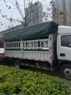 SAIC Yuejin S 123 hp 4X2 3.81 m - фото 2