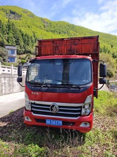 Sinotruk Lion automobile 160 hp 4X2 4.15 m - фото 3
