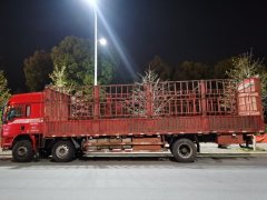 Shacman Delong L3000 270 hp 6X2 9.5 m - фото 3