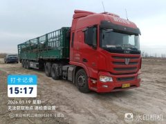 United Trucks U 480 hp 6X4 - фото 5
