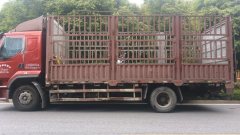 Dongfeng Liuzhou Chenglong H5 220 hp 4X2 6.8 m - фото 3