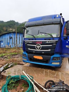 Foton Auman GTL 460 hp 6X4 - фото 3