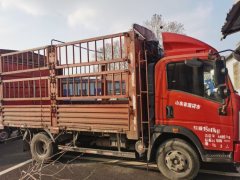 SINOTRUK HOWO Light Duty Truck Royal Faction 160 hp 4X2 4.15 m - фото 2