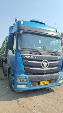 Foton Auman GTL 460 hp 6X4 - фото 2