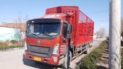 SINOTRUK HOWO Light Duty Truck G5X 220 hp 4X2 6.75 m - фото 1