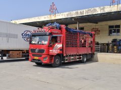 Shacman Delong L5000 300 hp 4X2 - фото 1