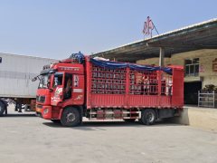 Shacman Delong L5000 300 hp 4X2 - фото 2