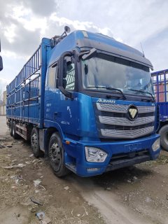 Foton Auman EST 430 hp 8X4 9.45 m - фото 3