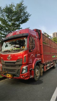 Dongfeng Liuzhou Chenglong H5 240 hp 4X2 6.8 m - фото 1