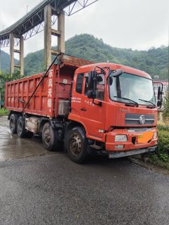 Dongfeng Tianjin 310 hp 8X4 6.2 m - фото 1